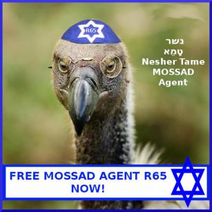 Zionist spy vulture nabbed